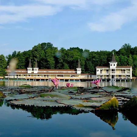 In - Balaton 18286 *