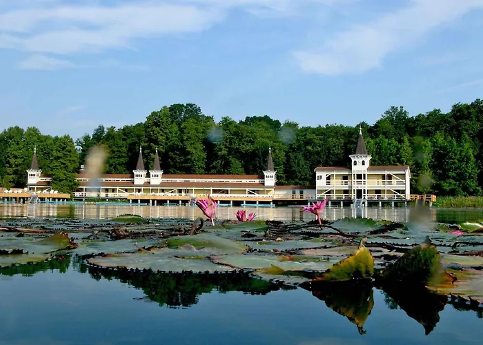 In - Balaton 18286 *