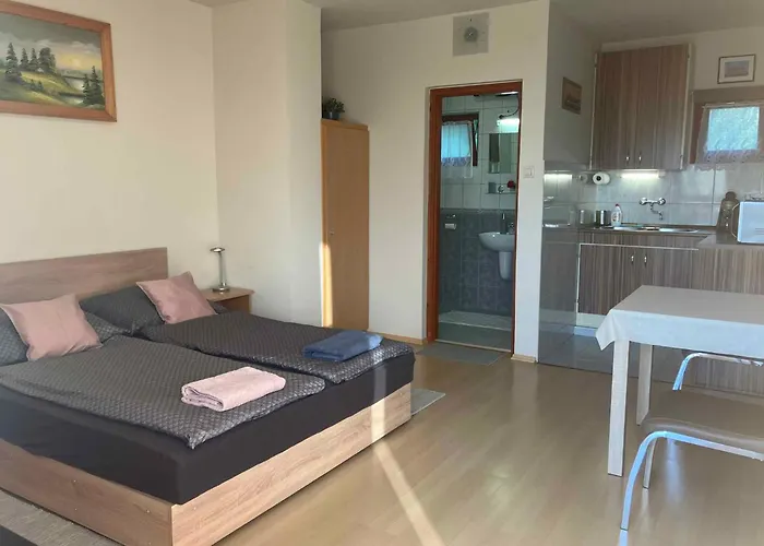 In - Balaton 18286 דירה צ'רסגטומאי